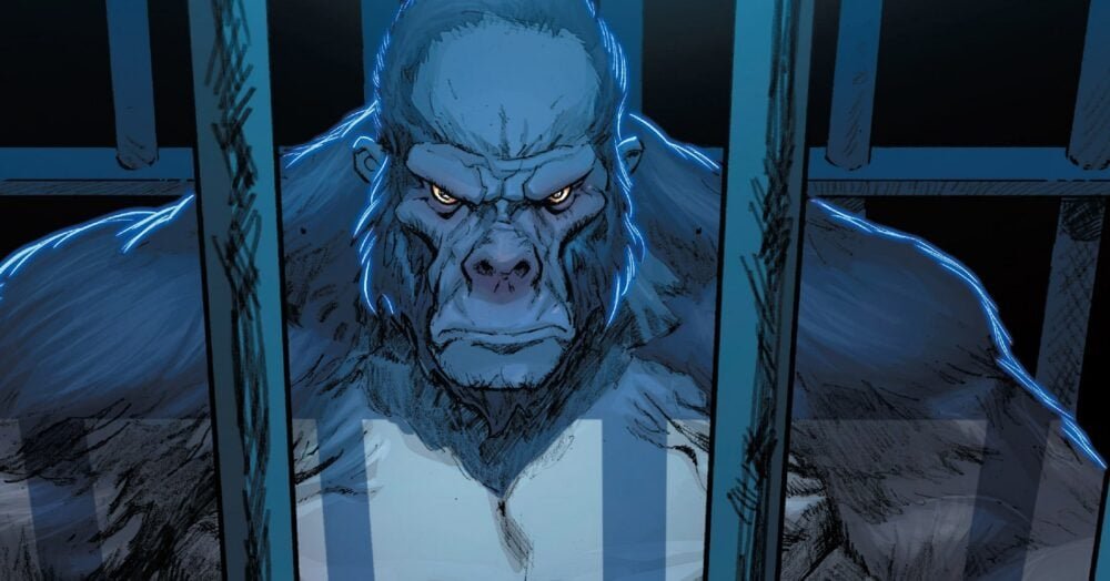 HBO Max greenlights DC Studios THE PEOPLE V. GORILLA GRODD comedy series