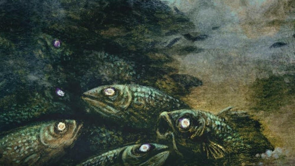 Horror Beat: Kim Bo-young ‘s A PLAGUED SEA gives humanity to eldritch horrors